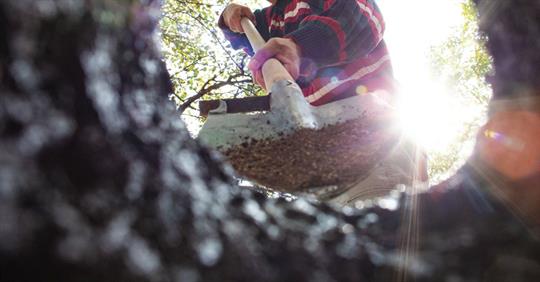 Man digging a hole in the ground